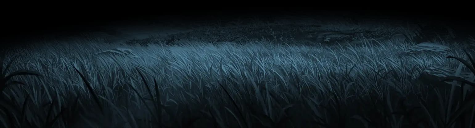 Forest background